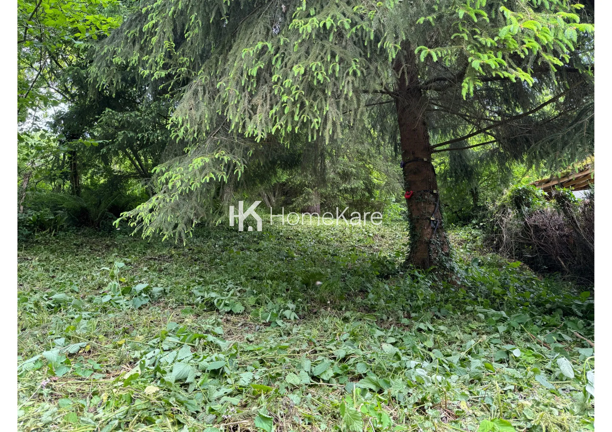 Maison à vendre à Nistos avec terrasse et vue sur la rivière dans un environnement naturel 