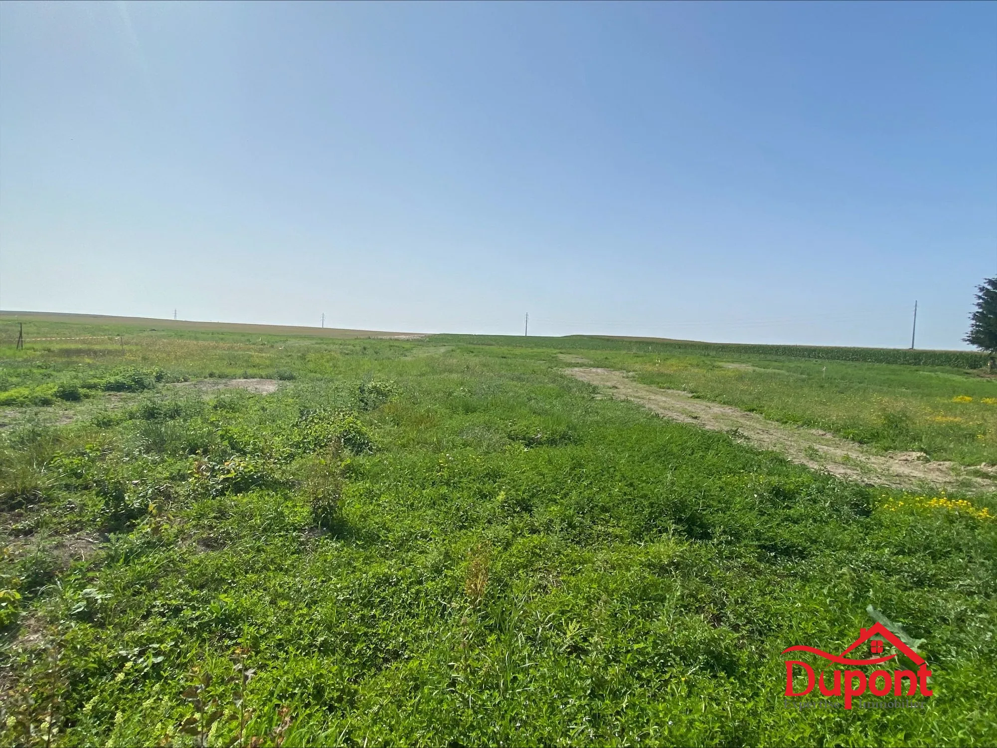 Très beau terrain constructible à Saint-Germain, idéal pour votre projet de maison individuelle