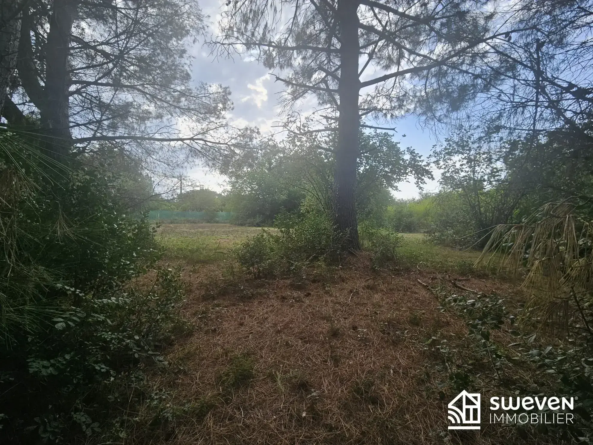 Terrain constructible de 2579 m² à vendre à Le Fauga – Cadre arboré et paisible 