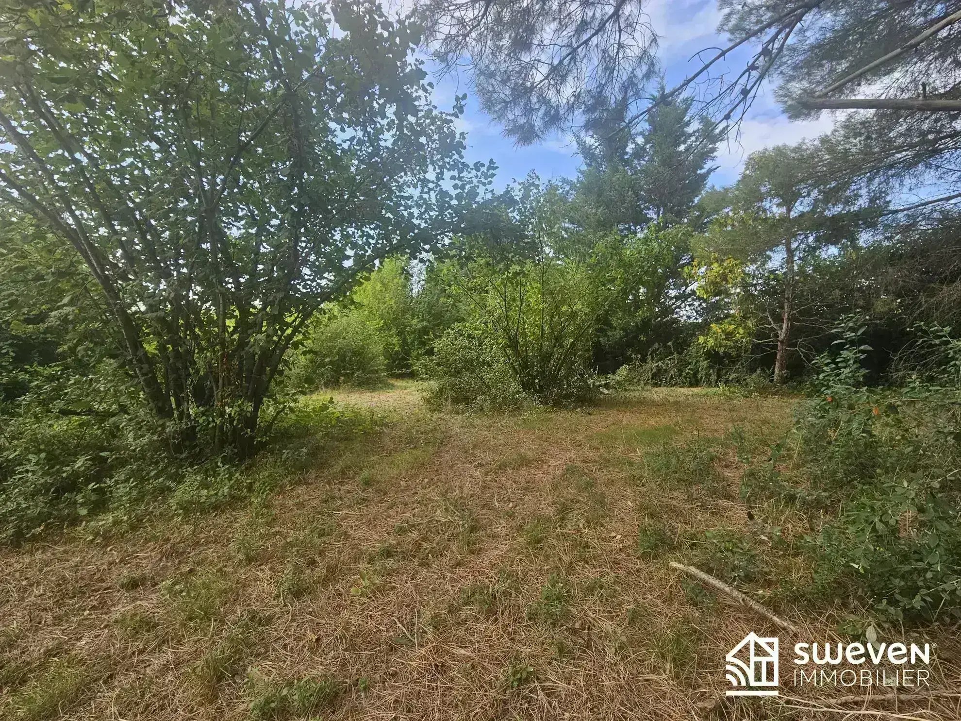 Terrain constructible de 2579 m² à vendre à Le Fauga – Cadre arboré et paisible 