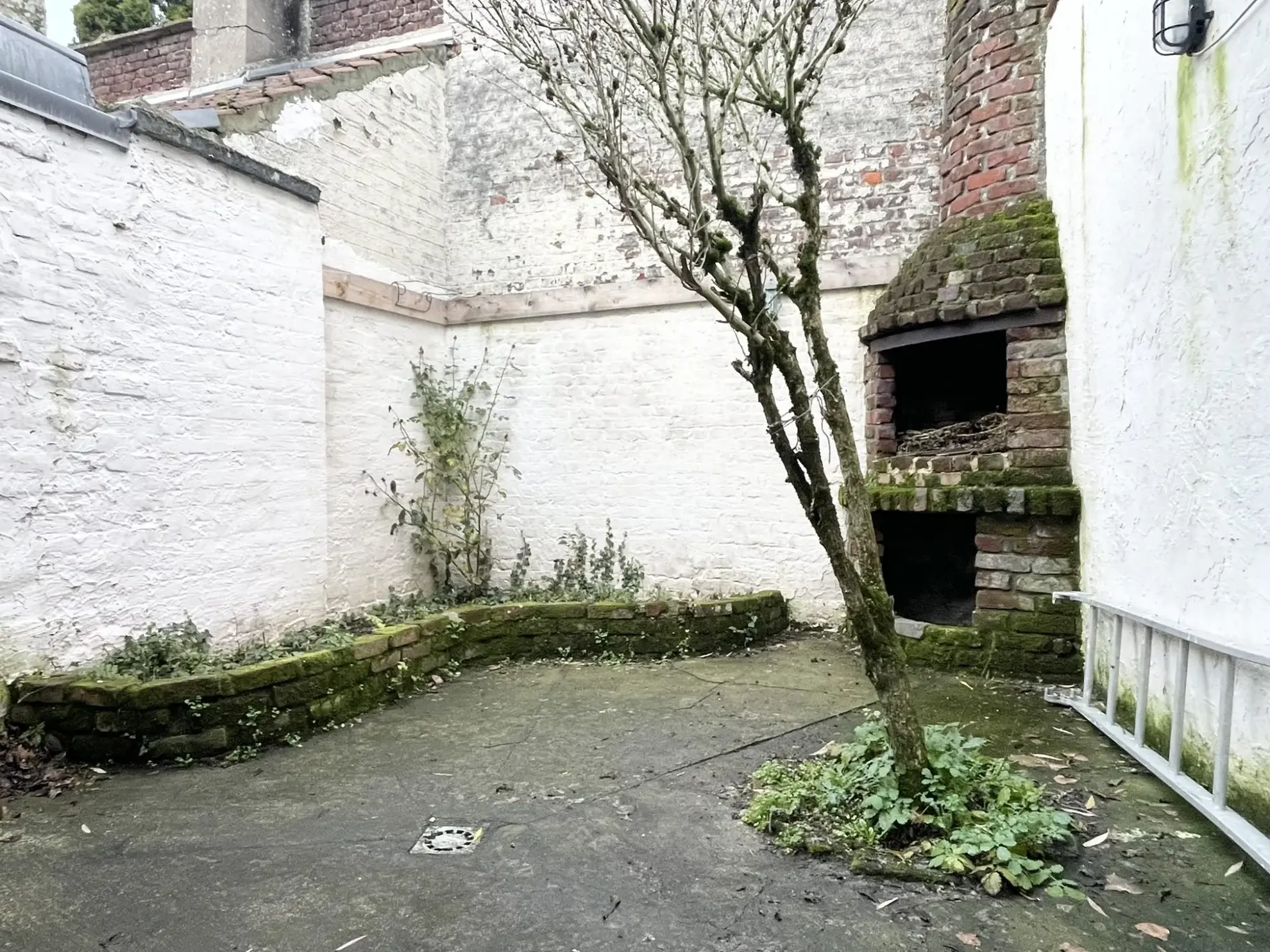 Maison ancienne à vendre à Halluin avec cour et 3 pièces principales 