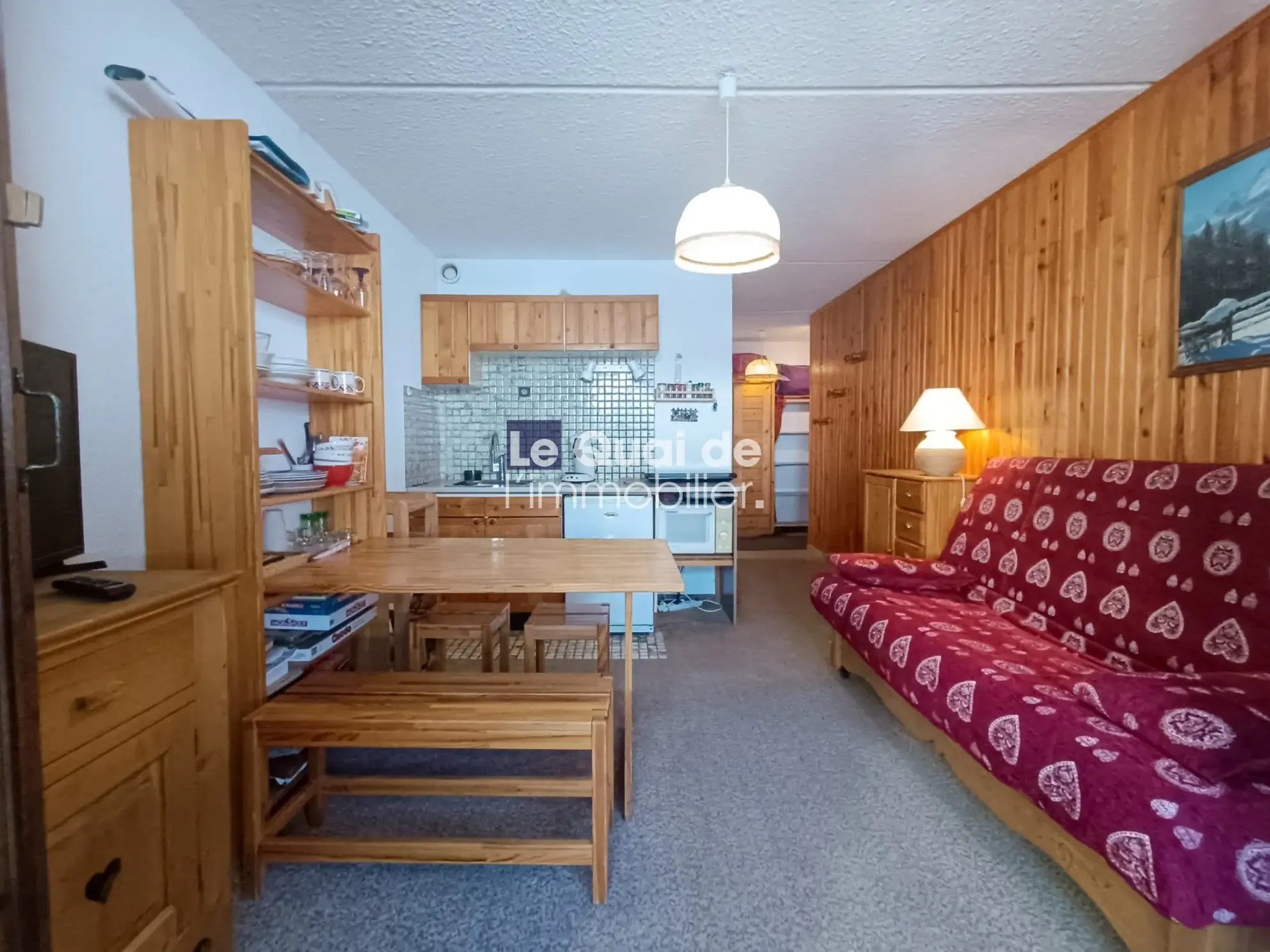 Studio à vendre à l'Alpe du Grand Serre, idéal location courte durée, vue dégagée, proximité pistes 
