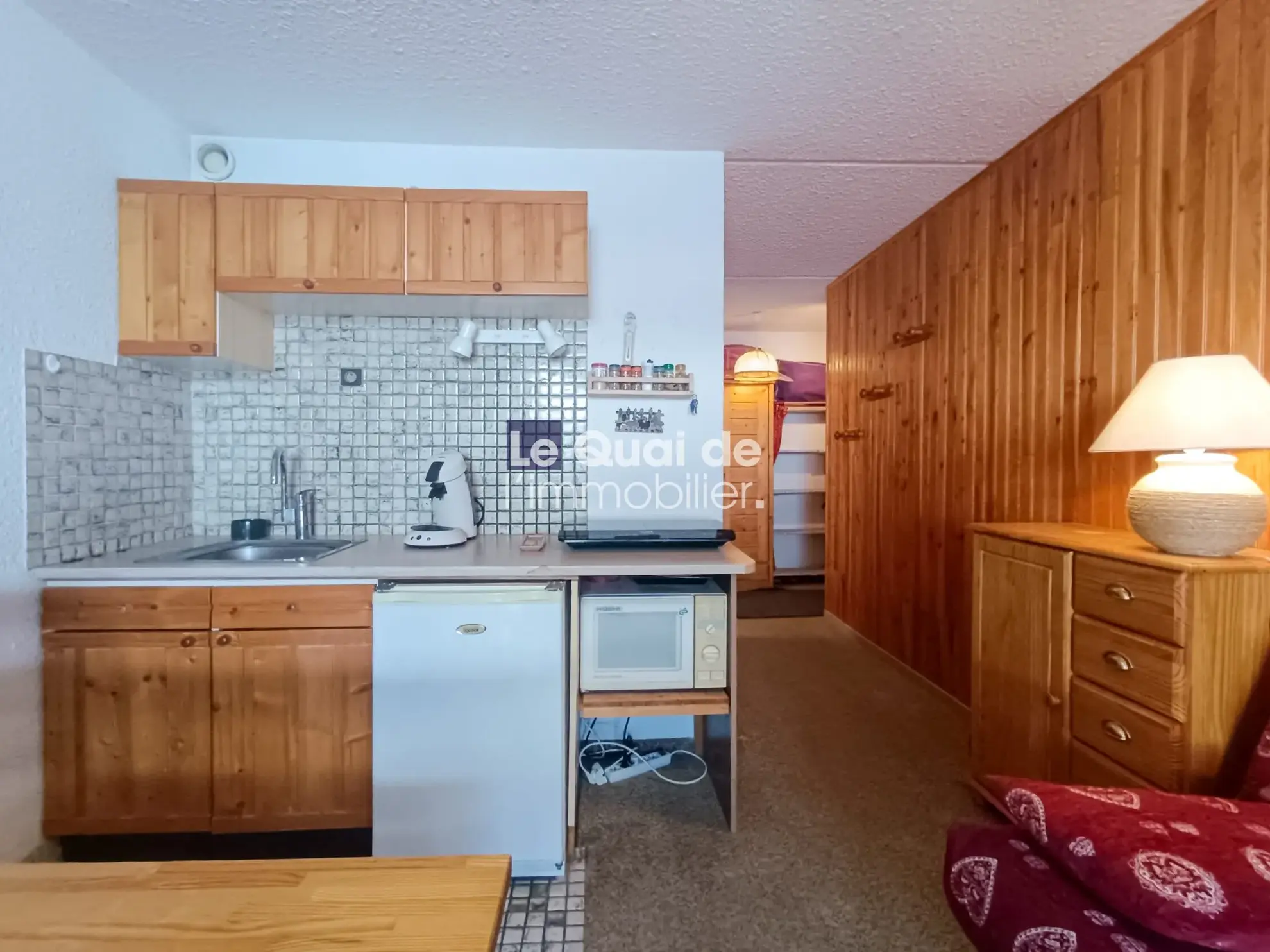 Studio à vendre à l'Alpe du Grand Serre, idéal location courte durée, vue dégagée, proximité pistes 