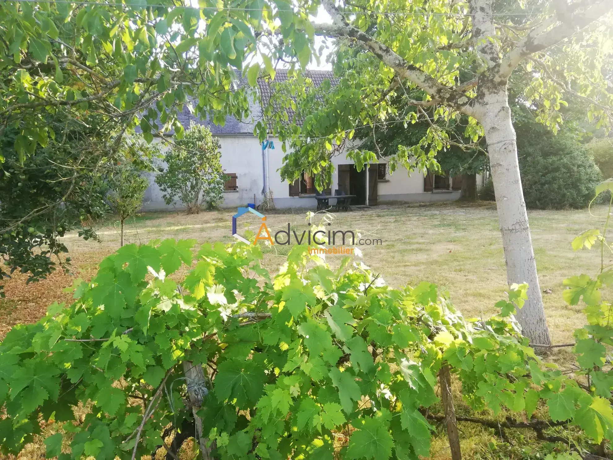 Maison de 74m² avec dépendances et hectare à Saint Benoît du Sault