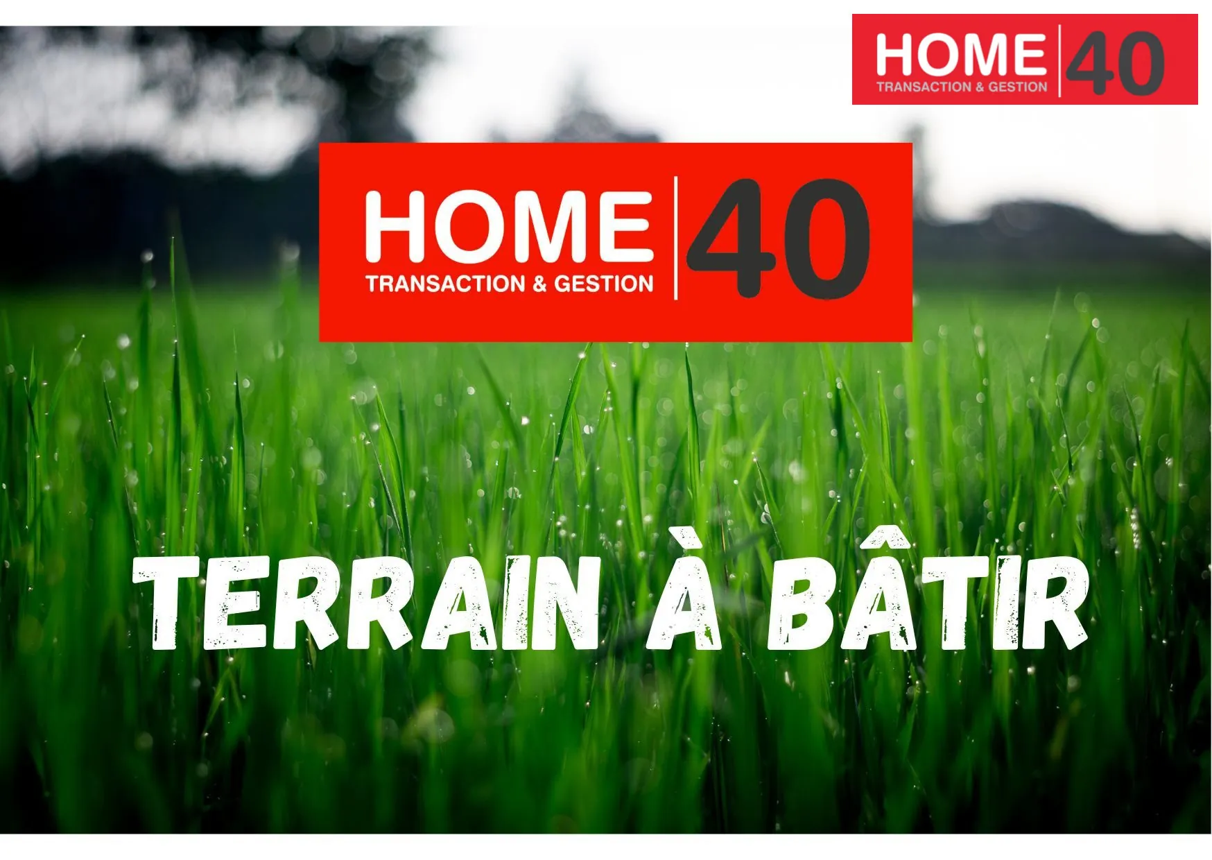 Terrain constructible de 1365 m² à Sanguinet proche port de l'Estey