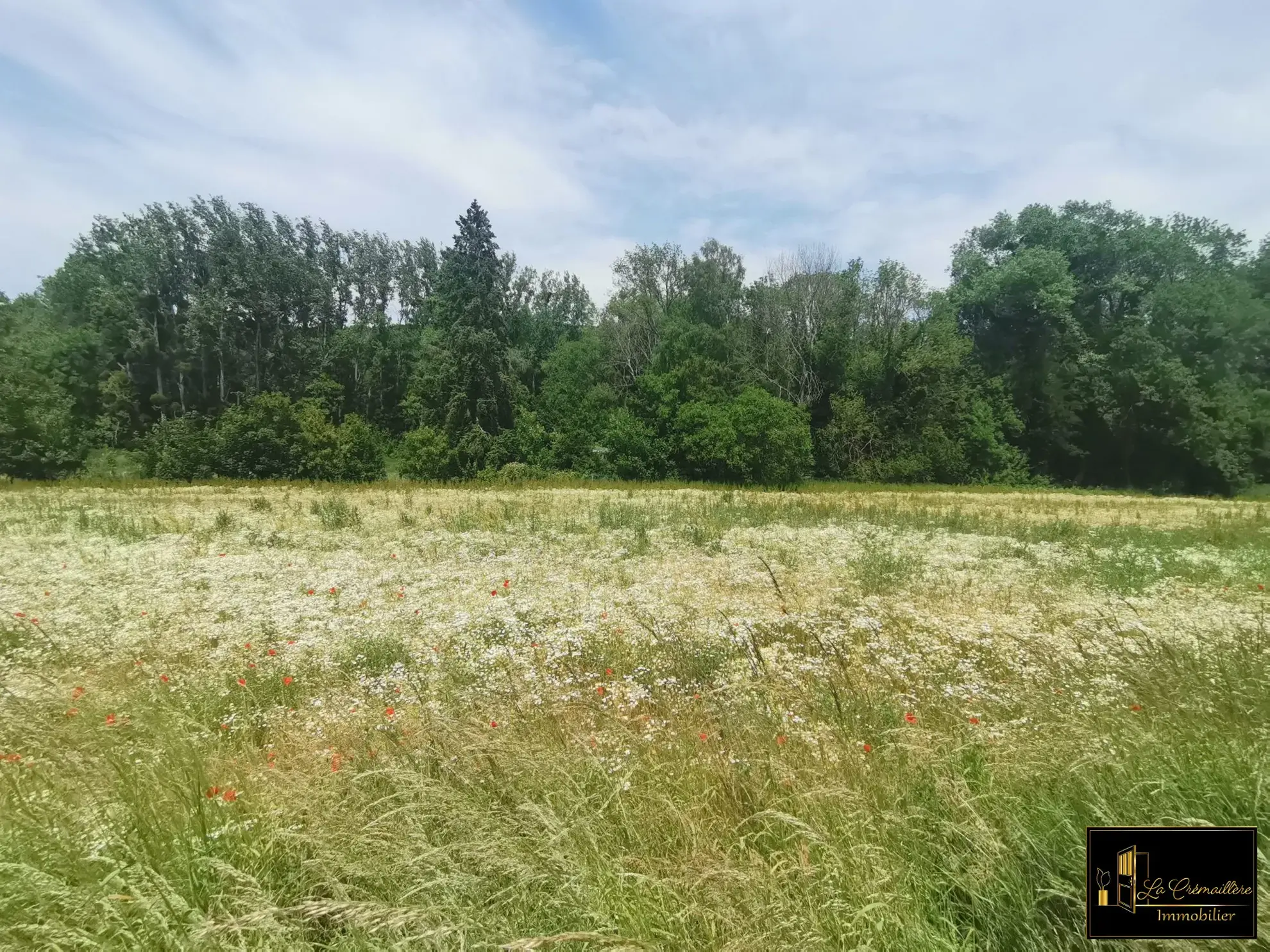 Terrain à vendre à Sermaise de 514 m², viabilisé, proche Paris