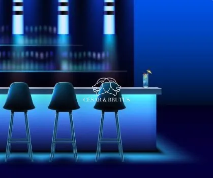 Bar festif avec terrasse à Lyon – Opportunité commerciale rare dans le 1er arrondissement 