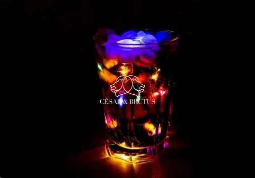 Bar festif avec terrasse à Lyon – Opportunité commerciale rare dans le 1er arrondissement 