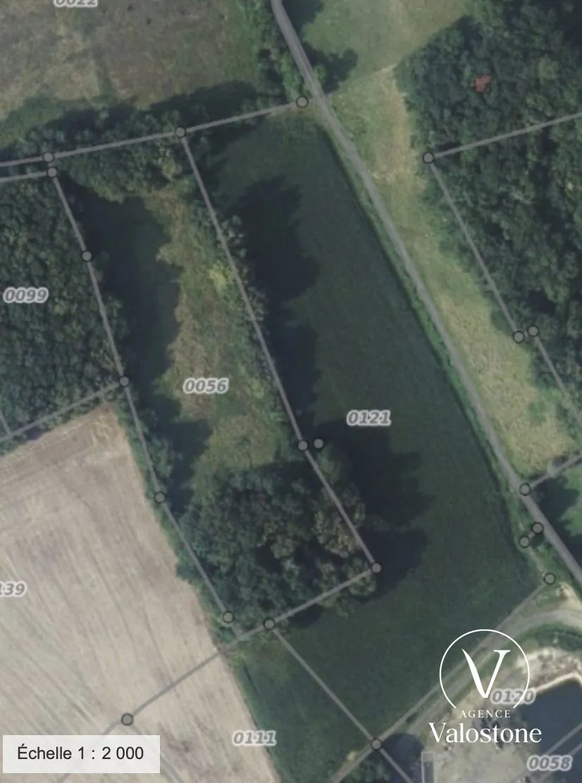 Terrain à vendre à Geaune (Landes) - 1,13 ha de prairie et taillis 