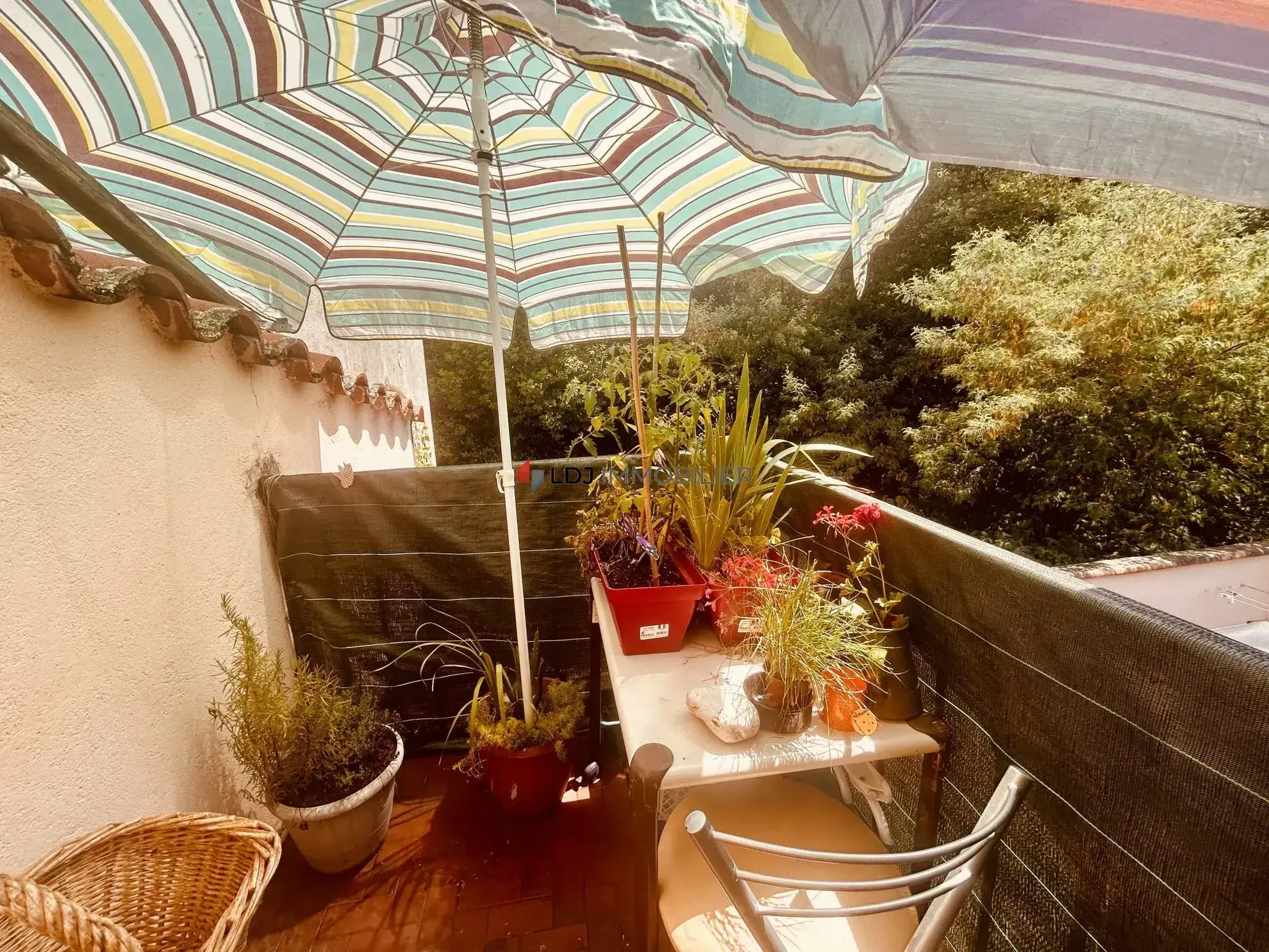 Appartement T2 meublé de 43,7 m² avec grand balcon à Amélie-les-Bains-Palalda