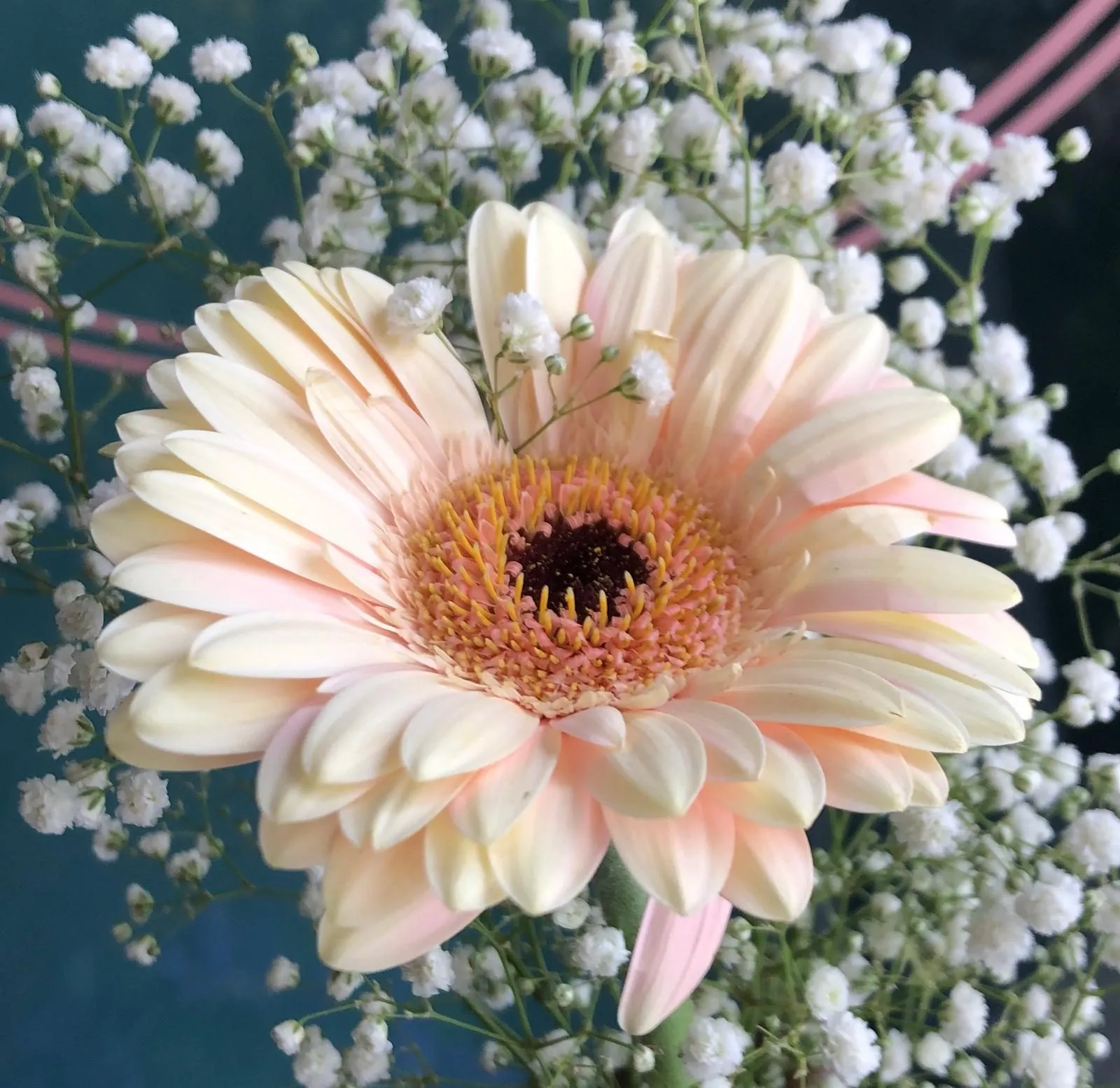 Boutique de fleurs traditionnelle à vendre dans le 12ème à Paris