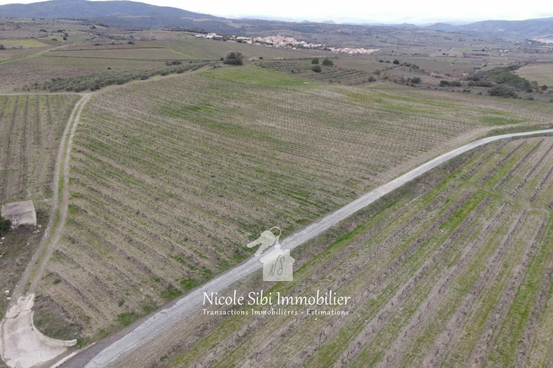 Terrain agricole à vendre à Montner avec vignes en pleine production 