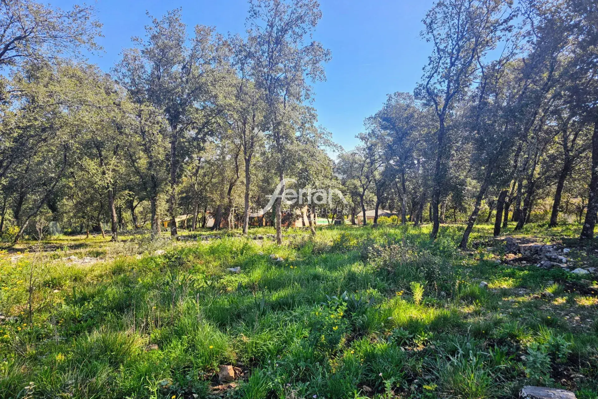 Terrain à bâtir de 2 200 m² à Le Thoronet, zone UC, idéal pour projet résidentiel 