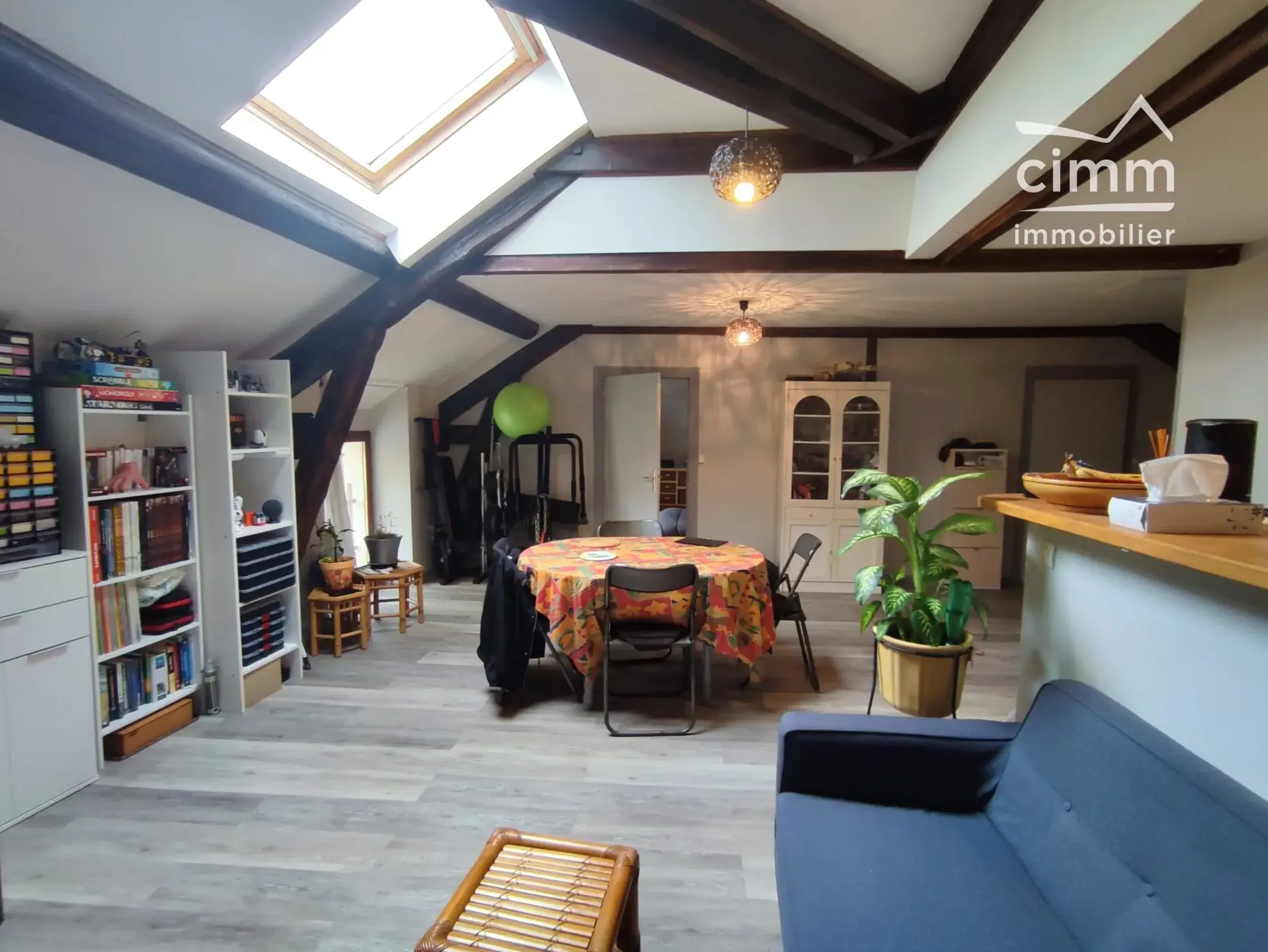 Appartement T3 à vendre à Tullins, dernier étage, locataire en place