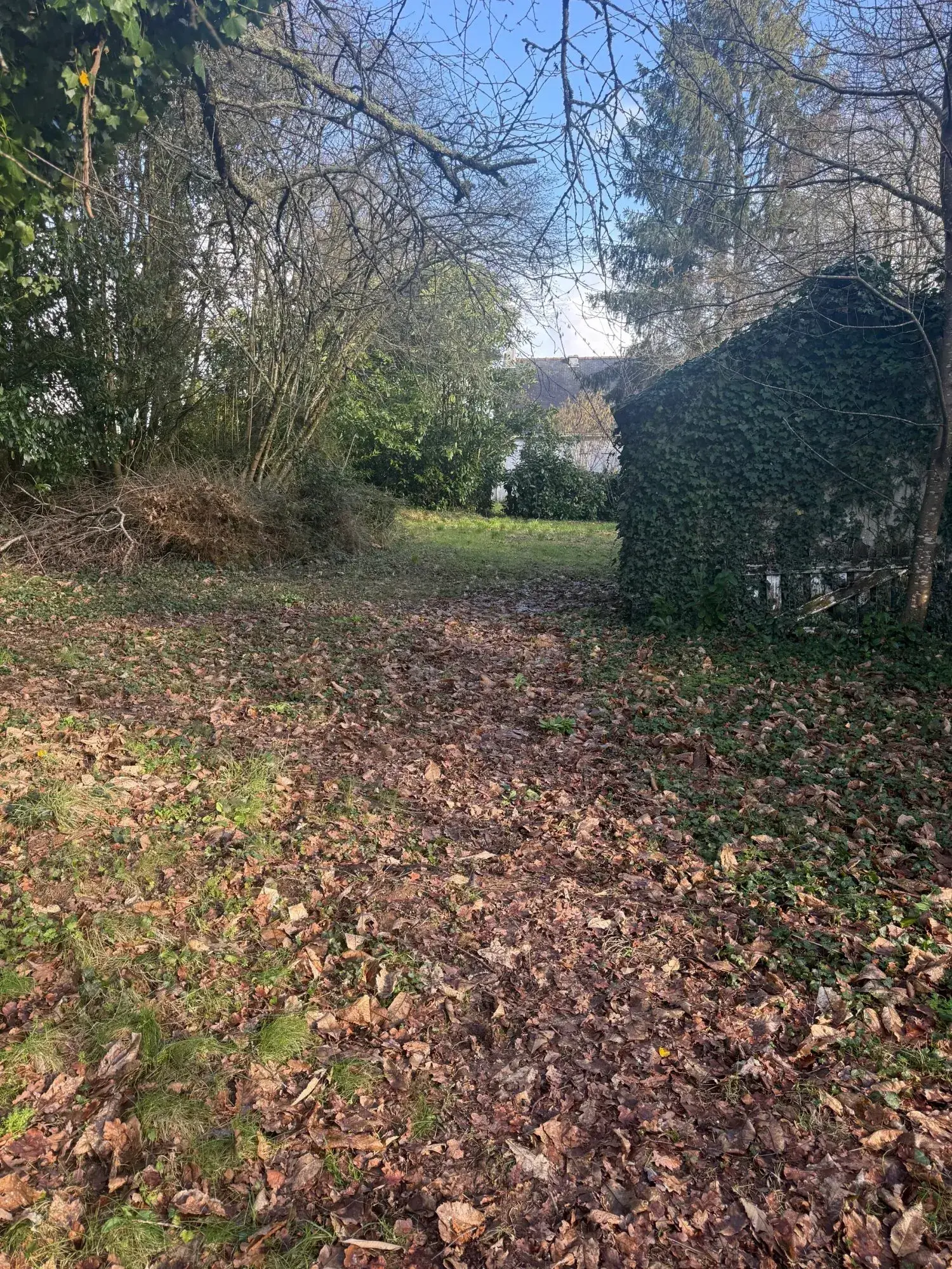 Terrain constructible à Plessé de 1248 m² avec multiples possibilités