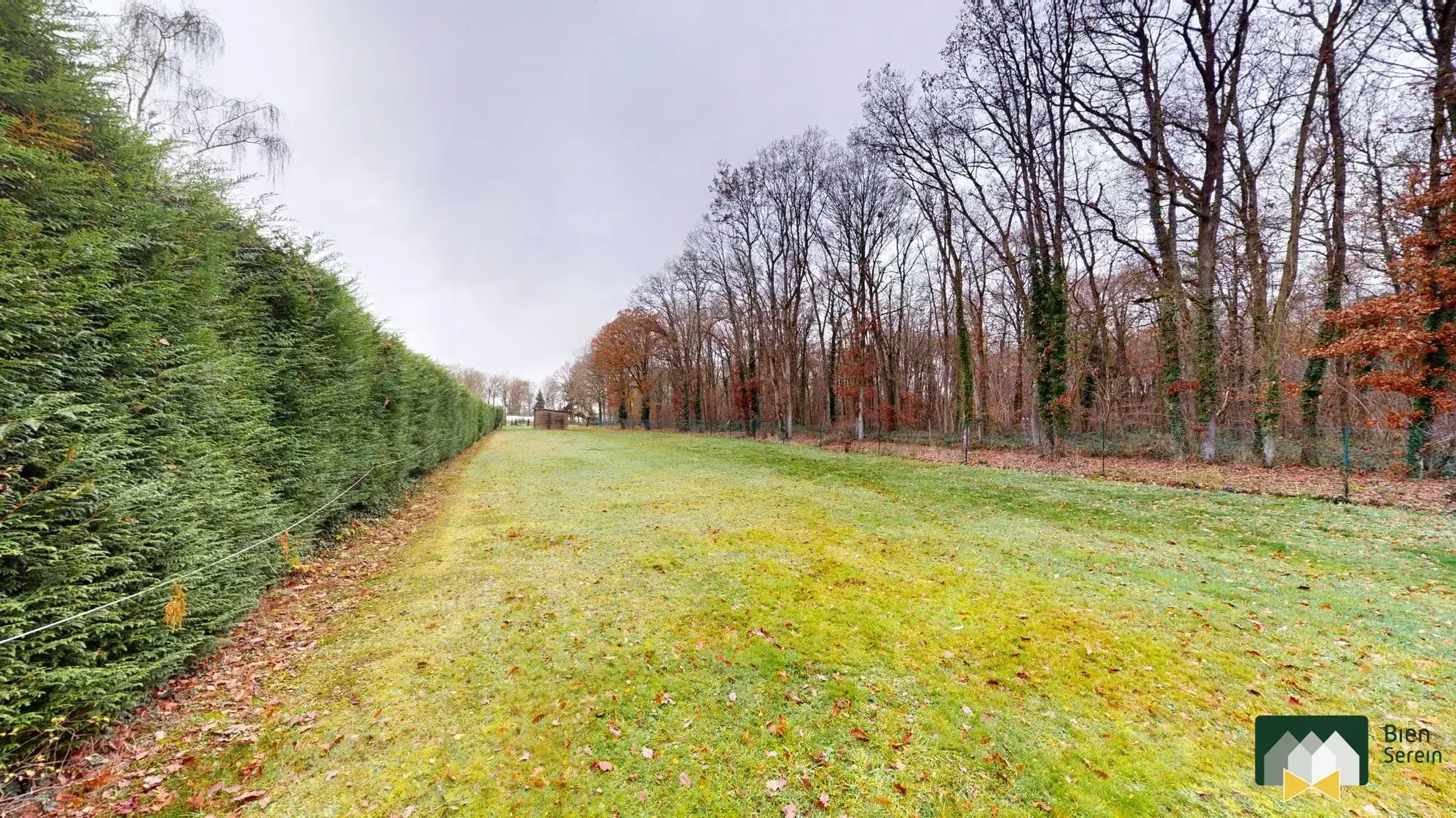 Avant  Terrain constructible de 2746 m² à Saint-Martin-de-Nigelles, calme et arboré