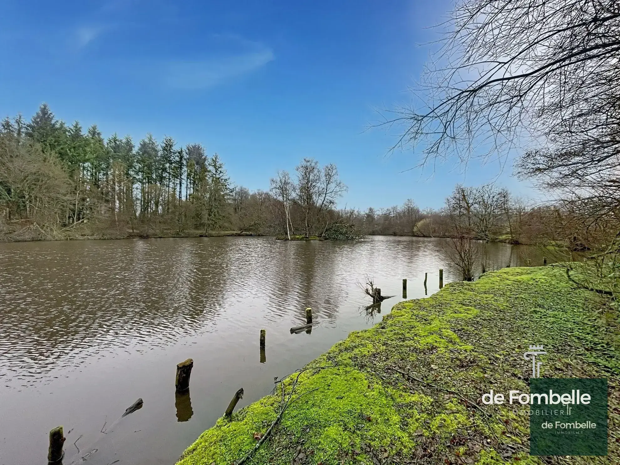 Etang de 2 hectares au cœur du Parc Naturel Normandie-Maine à Magny-le-Déssert 