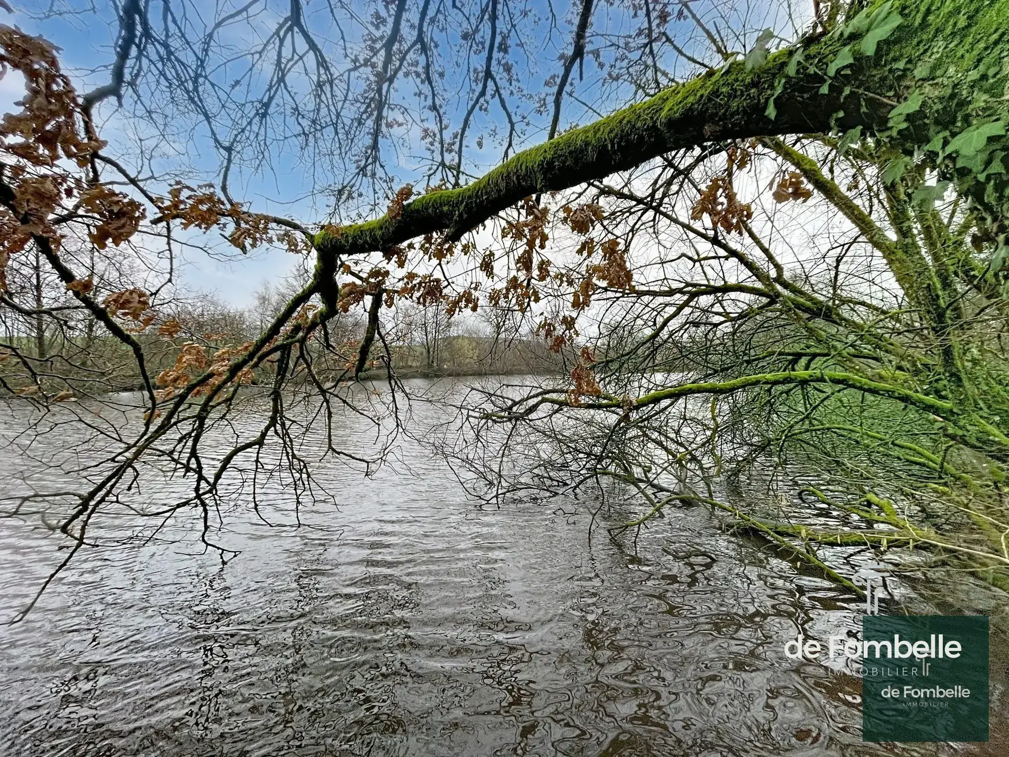 Etang de 2 hectares au cœur du Parc Naturel Normandie-Maine à Magny-le-Déssert 