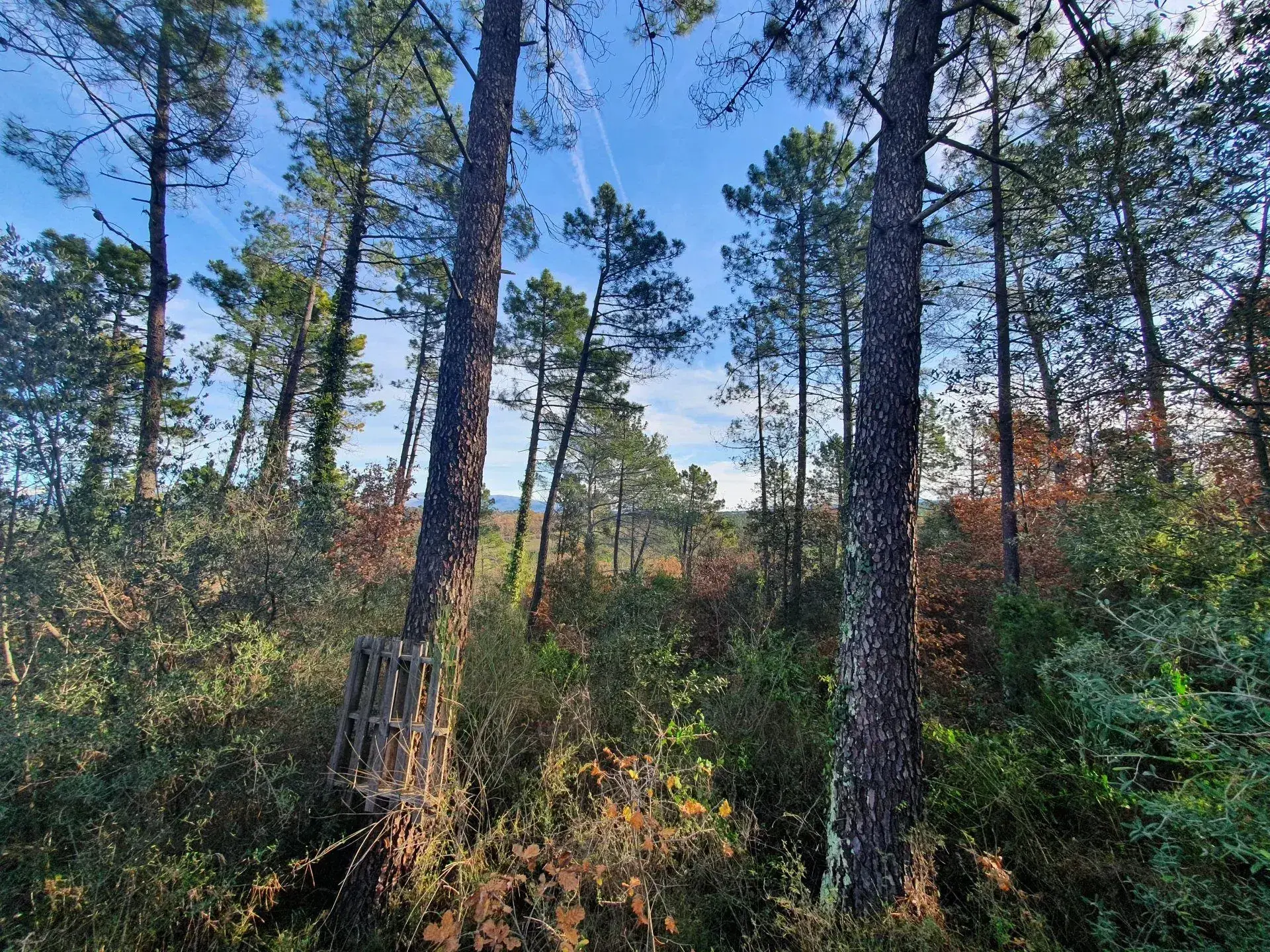 Terrain constructible à Saint-Paul-en-Forêt avec permis pour villa moderne 
