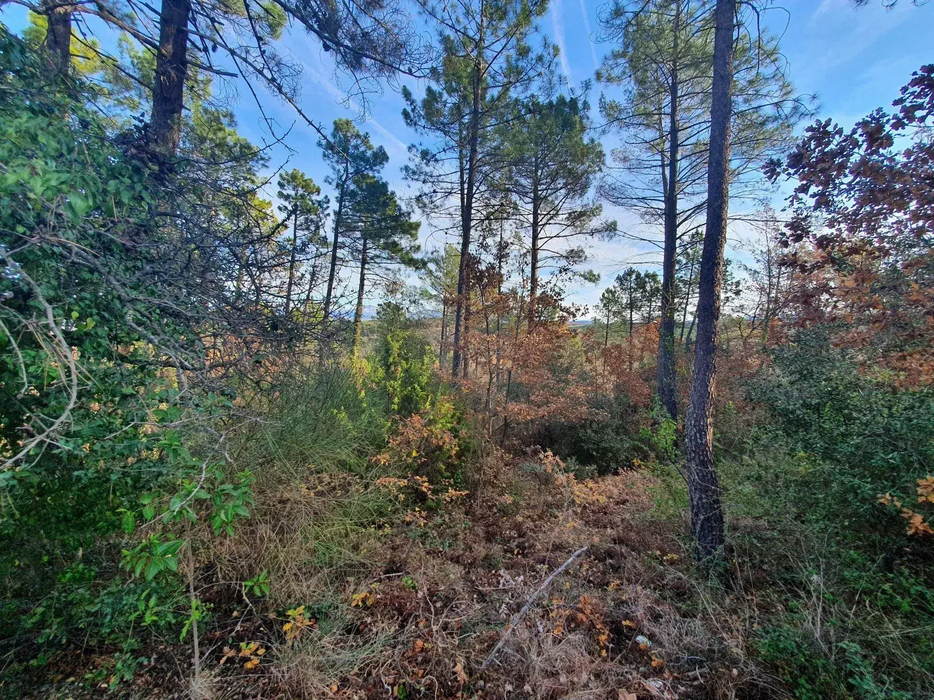 Terrain constructible à Saint-Paul-en-Forêt avec permis pour villa moderne 