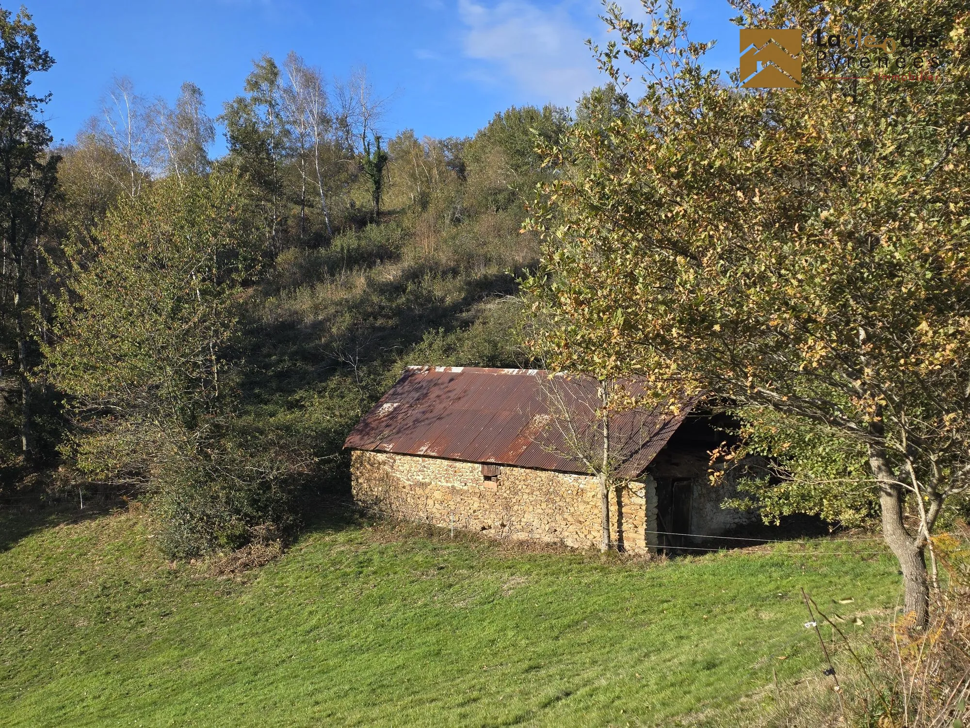 Grande grange foraine avec terrain de 8796 m² proche Lourdes dans les Hautes-Pyrénées