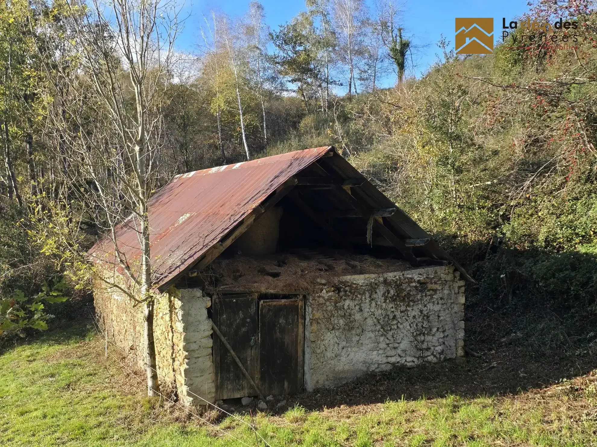 Grande grange foraine avec terrain de 8796 m² proche Lourdes dans les Hautes-Pyrénées 