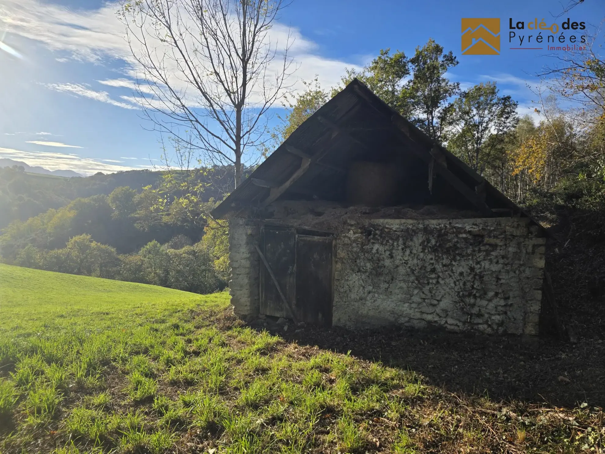 Grande grange foraine avec terrain de 8796 m² proche Lourdes dans les Hautes-Pyrénées 