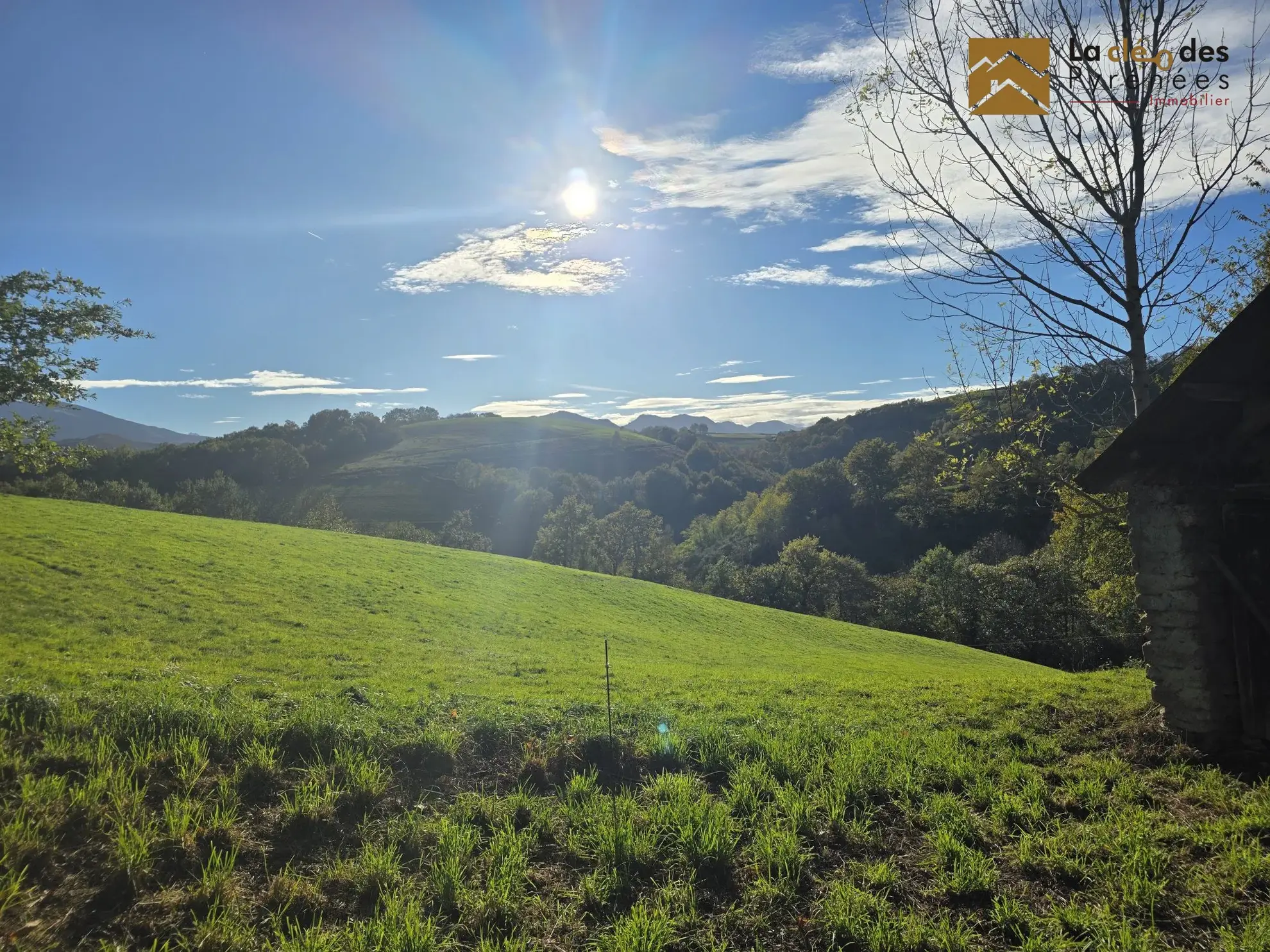 Grande grange foraine avec terrain de 8796 m² proche Lourdes dans les Hautes-Pyrénées 