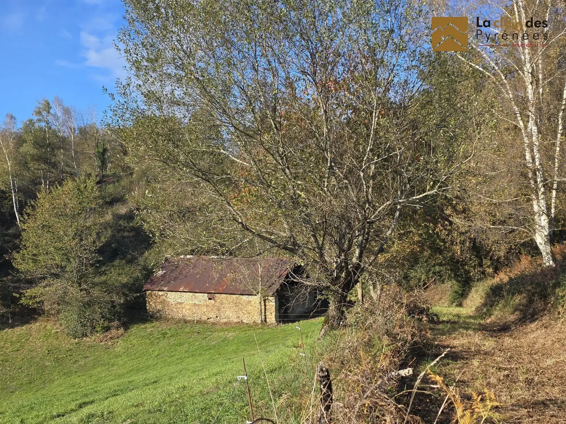 Grande grange foraine avec terrain de 8796 m² proche Lourdes dans les Hautes-Pyrénées 