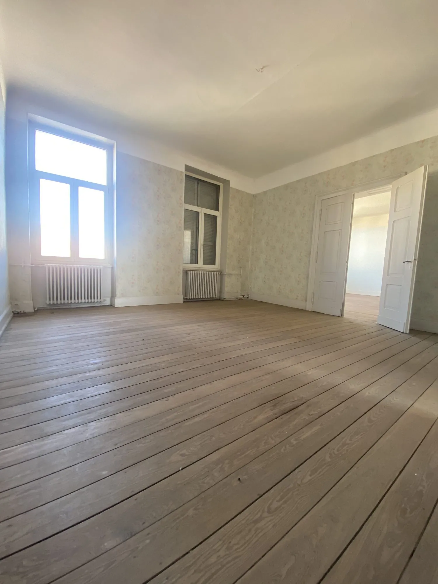Grand appartement à Dieuze avec fort potentiel familial et patrimonial 