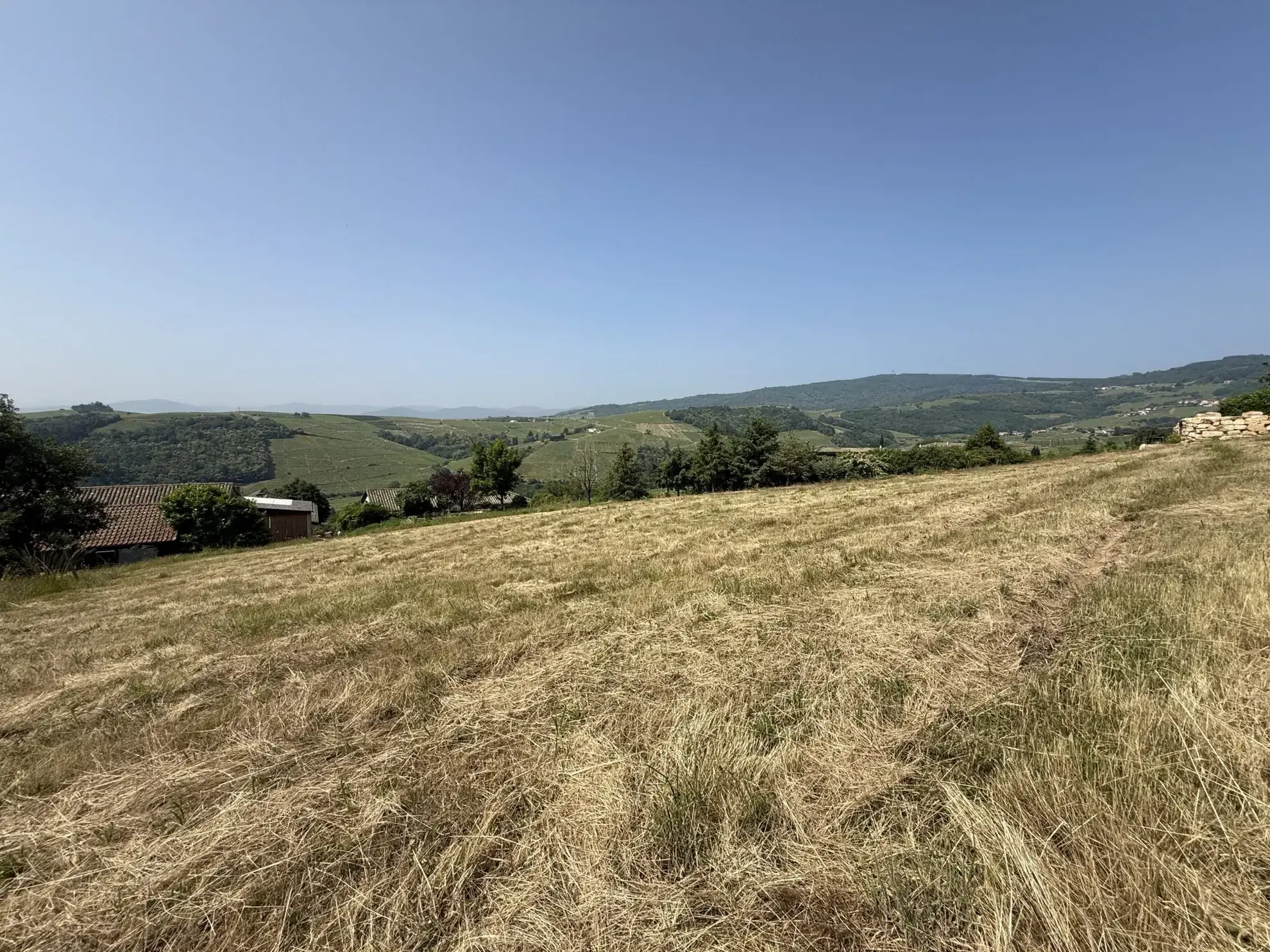 Terrain constructible de 1536 m² à Chiroubles avec vue sur le Beaujolais 