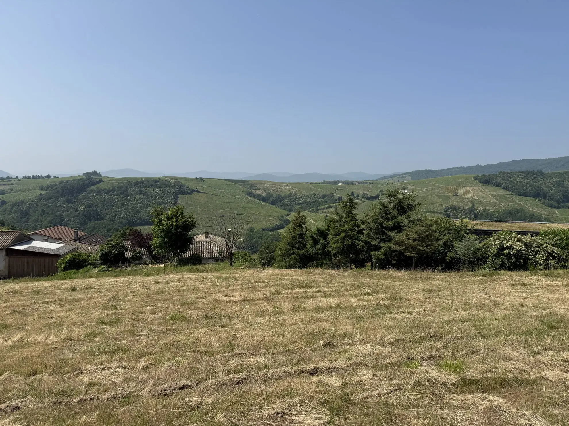 Terrain constructible de 1536 m² à Chiroubles avec vue sur le Beaujolais