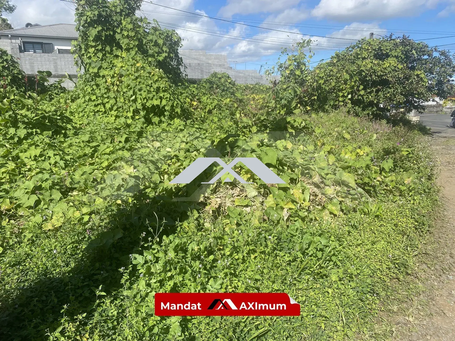 Parcelle de 441 m² à vendre entre le 14e et le 17e arrondissement