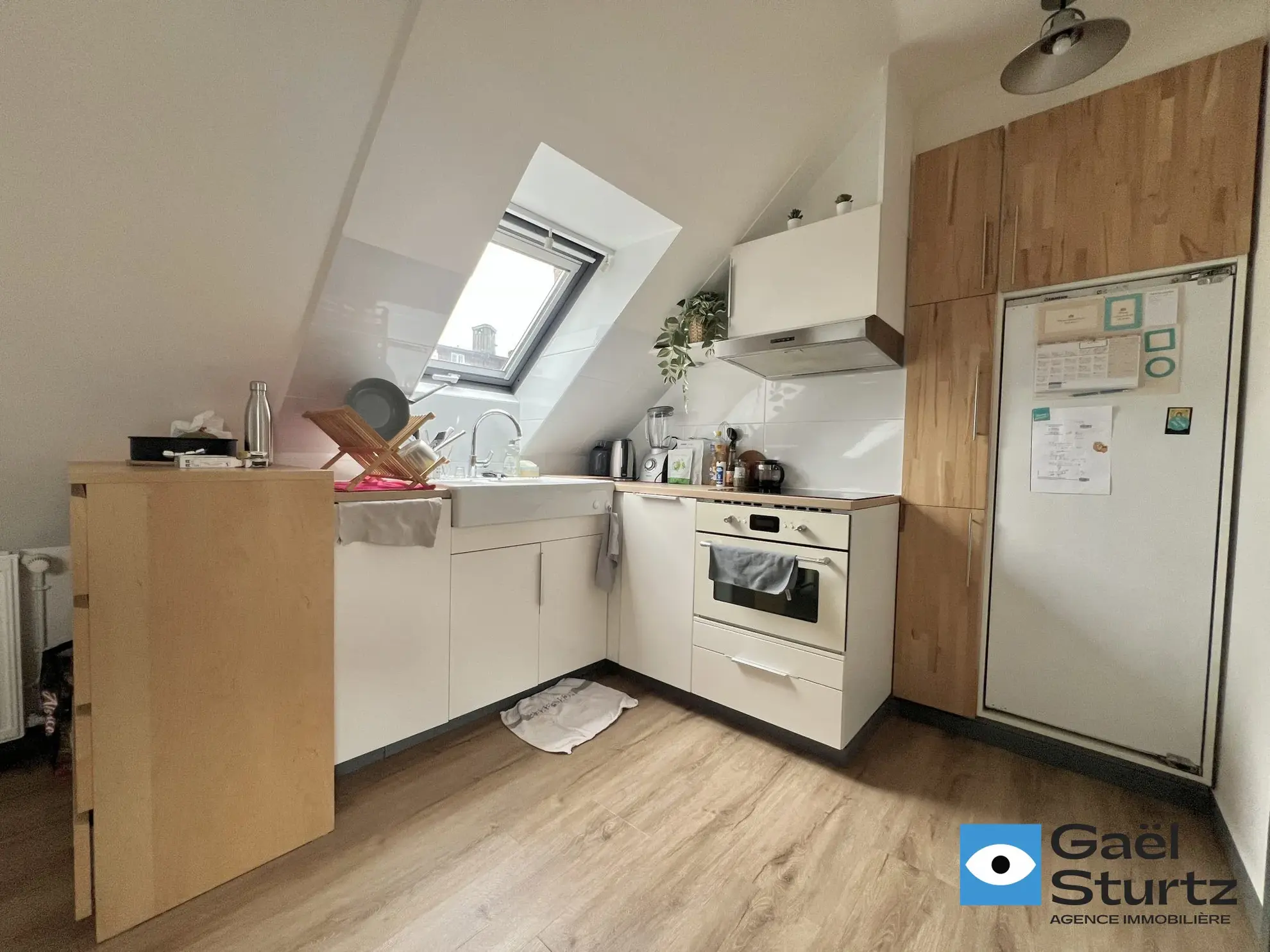 Appartement T1 de 41 m² à Strasbourg Gare - Rénové, Vue Cathédrale, Calme 