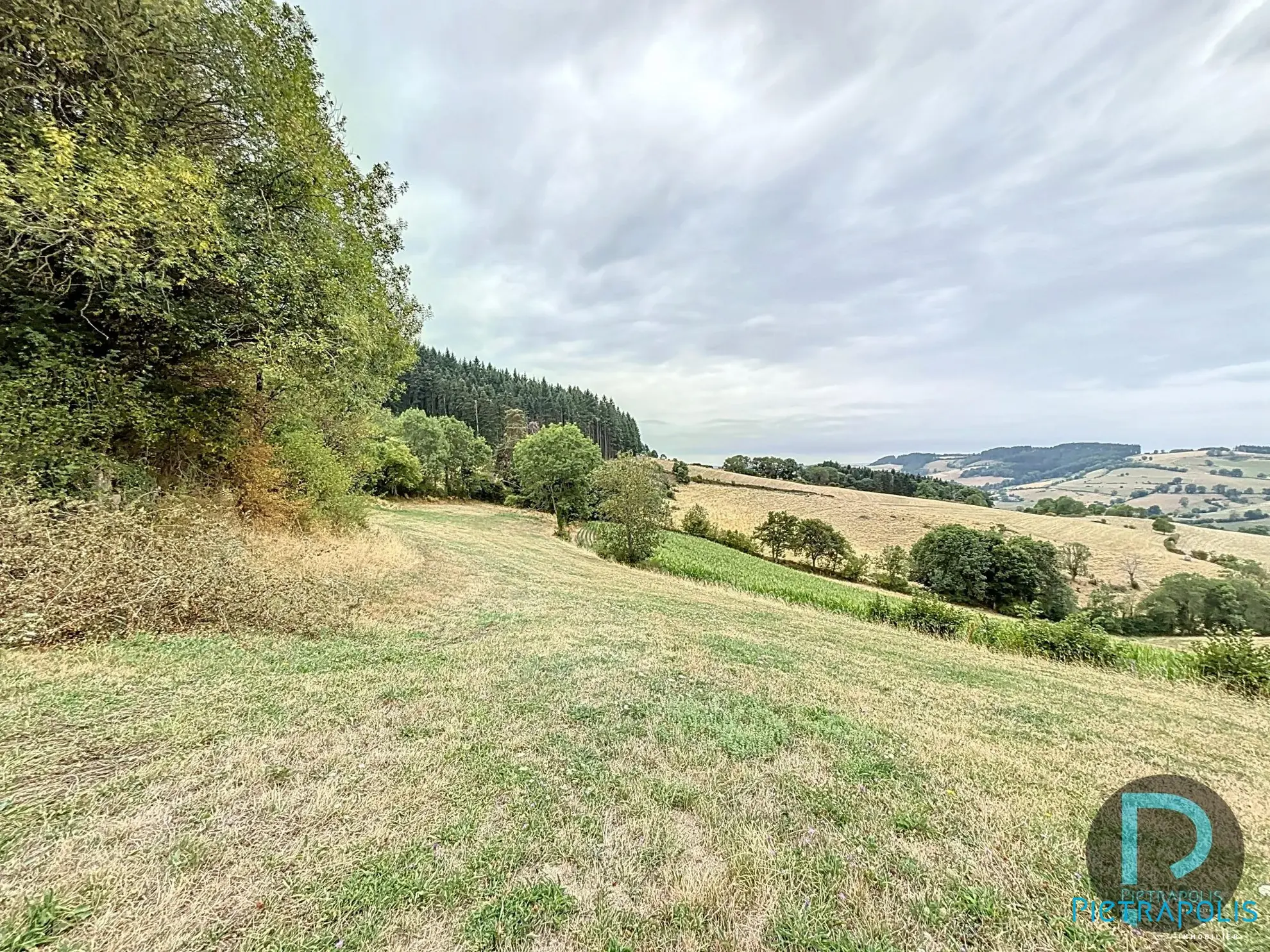 Terrain vue 1 Terrain agricole à vendre à Thizy-les-Bourg avec vue exceptionnelle 
