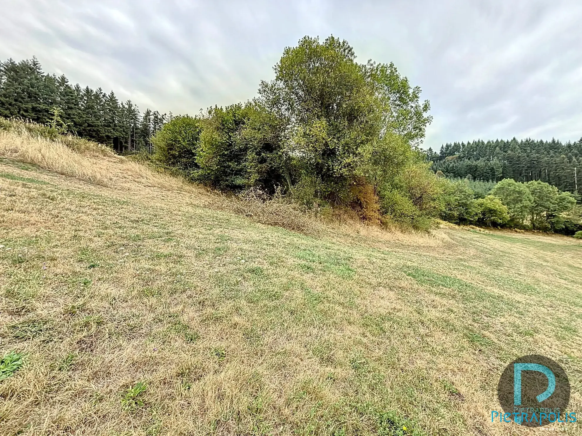 Terrain vue 3 Terrain agricole à vendre à Thizy-les-Bourg avec vue exceptionnelle 