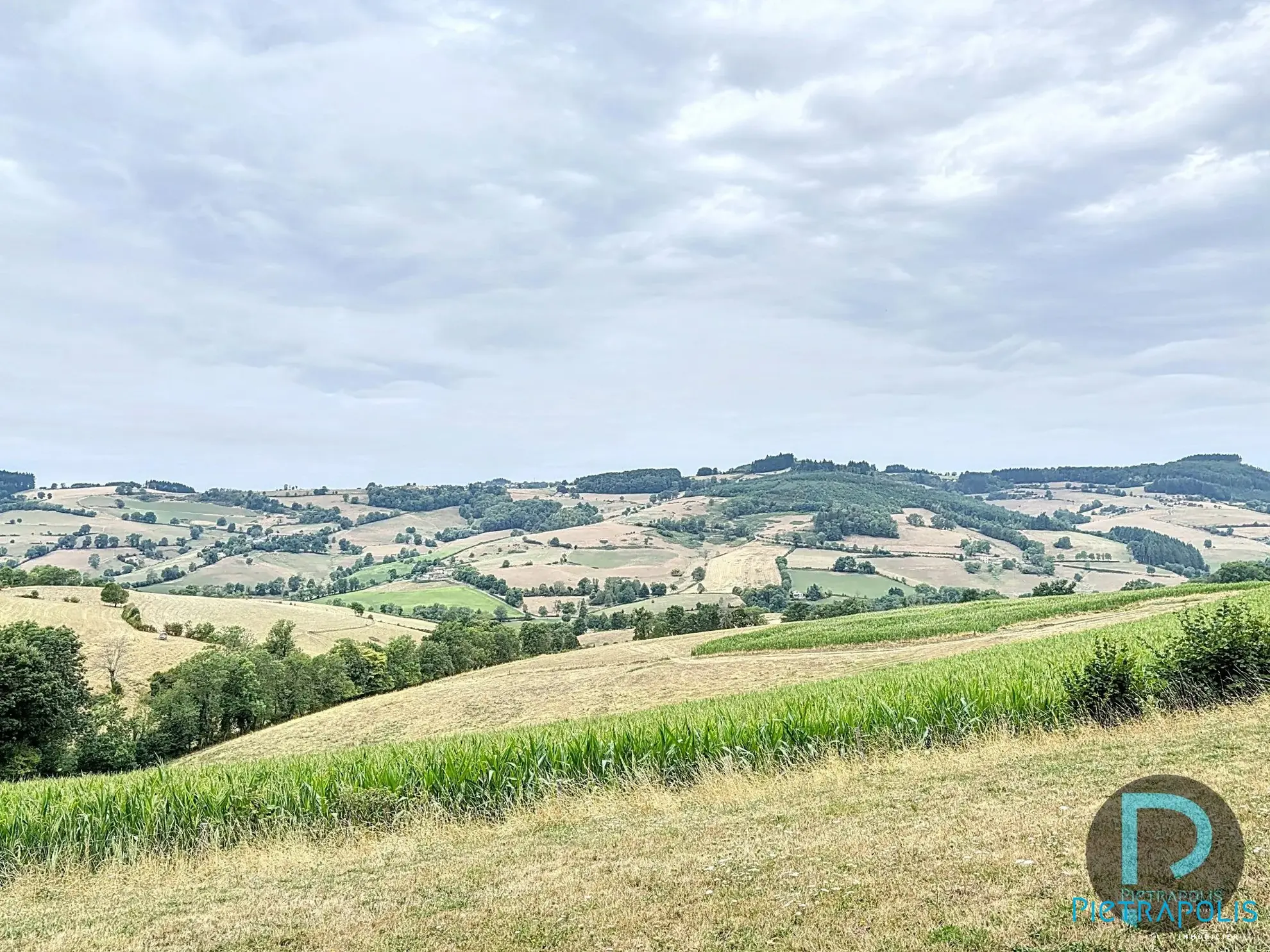 terrain vue 2 Terrain agricole à vendre à Thizy-les-Bourg avec vue exceptionnelle