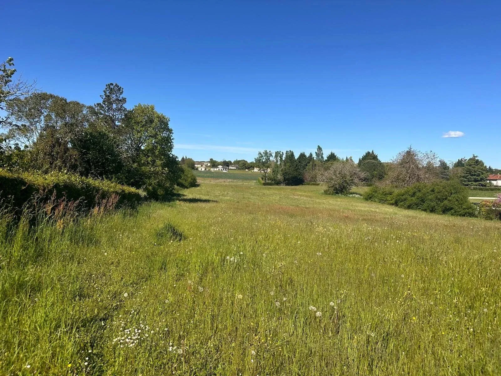 Terrain constructible de 3100 m² à Faux, idéal pour votre projet de maison en campagne 