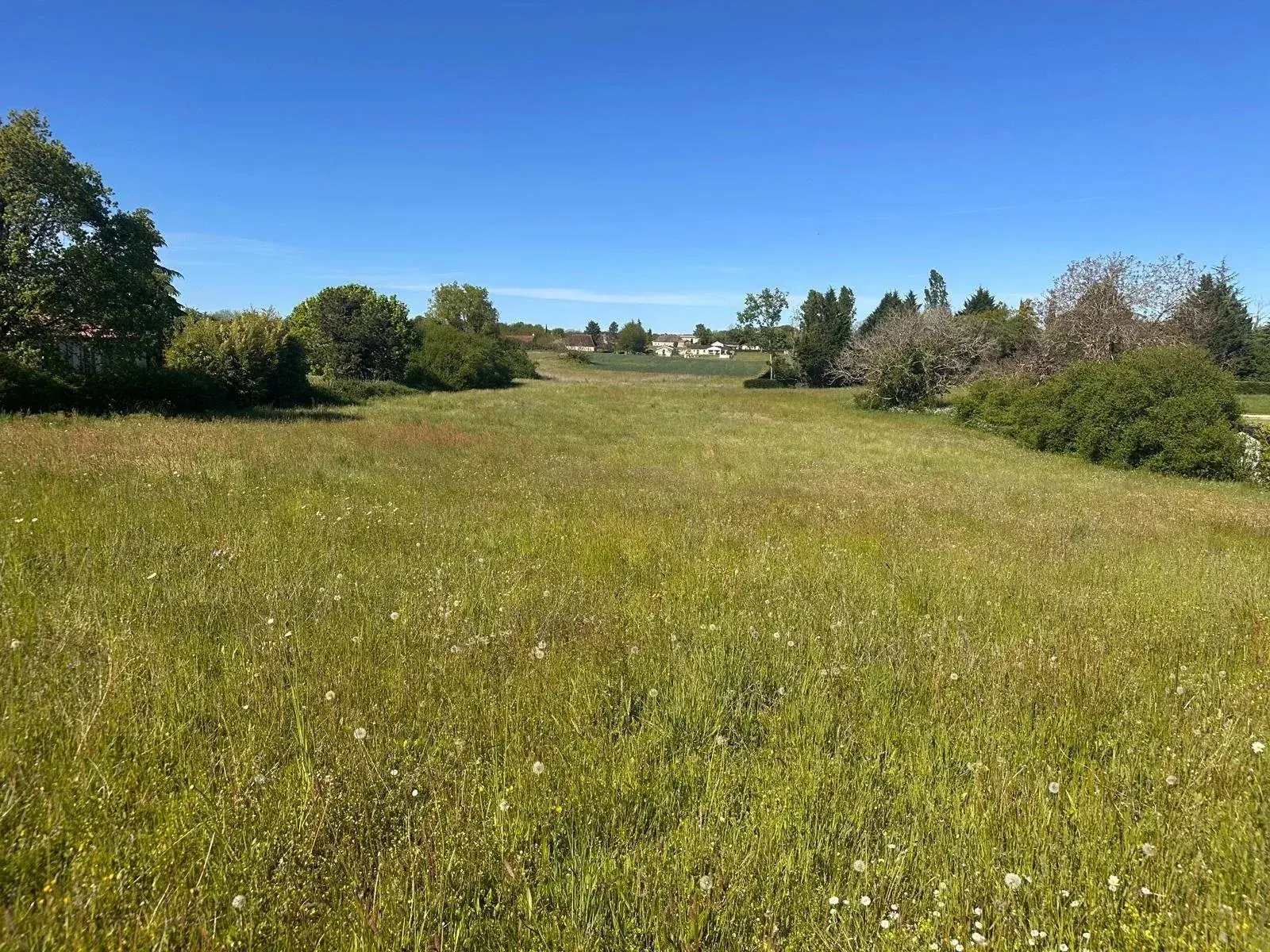 Terrain constructible de 3100 m² à Faux, idéal pour votre projet de maison en campagne 