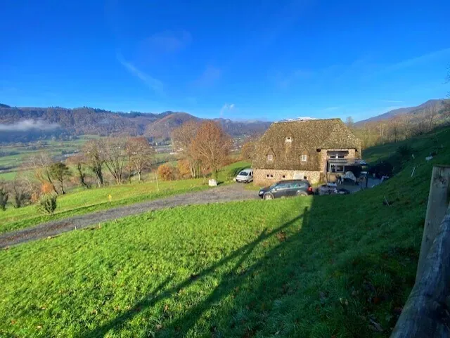 Belle maison en pierre rénovée avec grand terrain à Polminhac