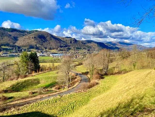 Belle maison en pierre rénovée avec grand terrain à Polminhac 