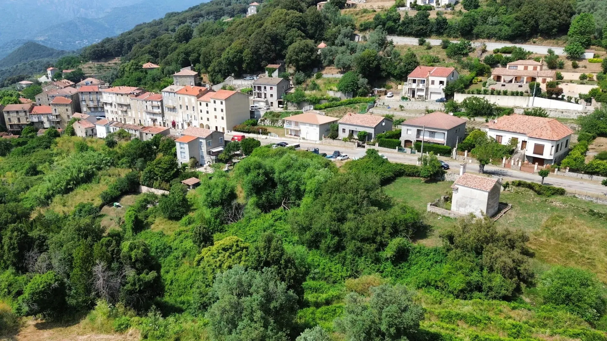 Superbe terrain à bâtir de 2008 m2 à Sainte-Lucie-de-Tallano
