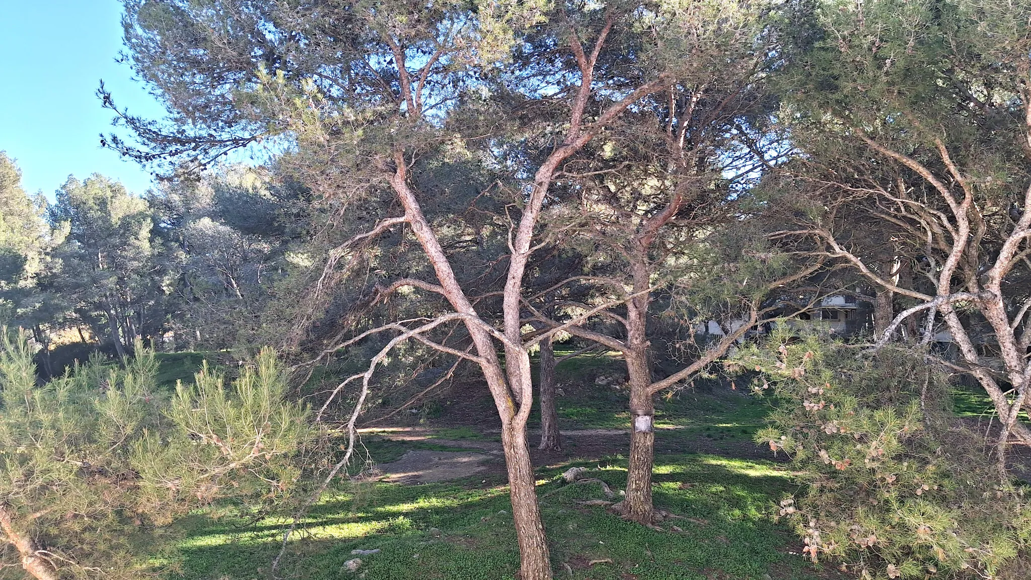 appartement T3/4 lumineux avec vue dégagée à Pennes Mirabeau