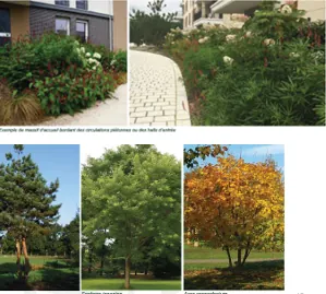 Appartement 2 pièces neuf à Thiais, livraison 2028, parking inclus