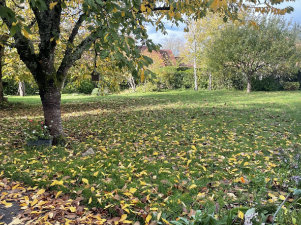 Magnifique maison familiale de 189 m² à Cusset avec terrain arboré et dépendance