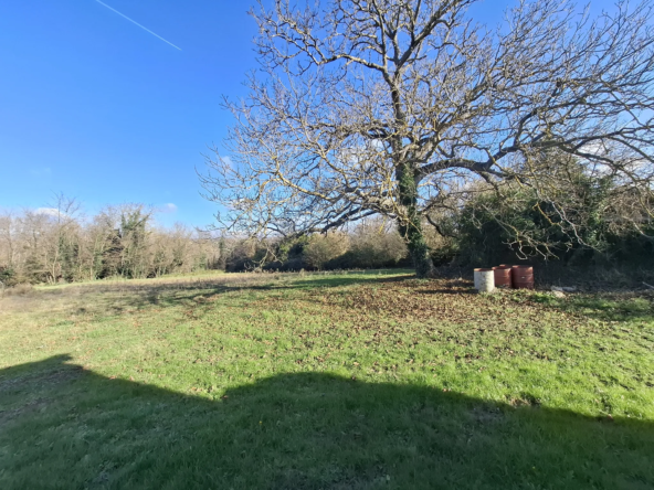 Terrain de 3 260 m² à Cheyssieu - Construisez votre maison dans un environnement paisible