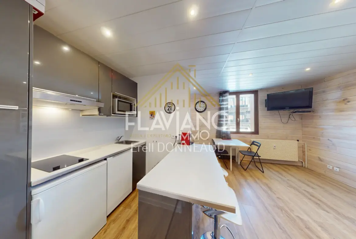 Studio rénové de 24,78 m² à Barcelonnette proche stations de ski 