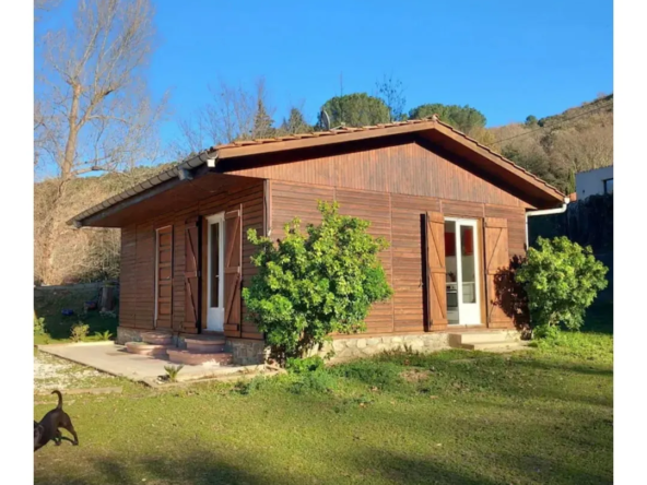 Vaste propriété en zone naturelle avec possibilité de projet à Reynès, proche Céret