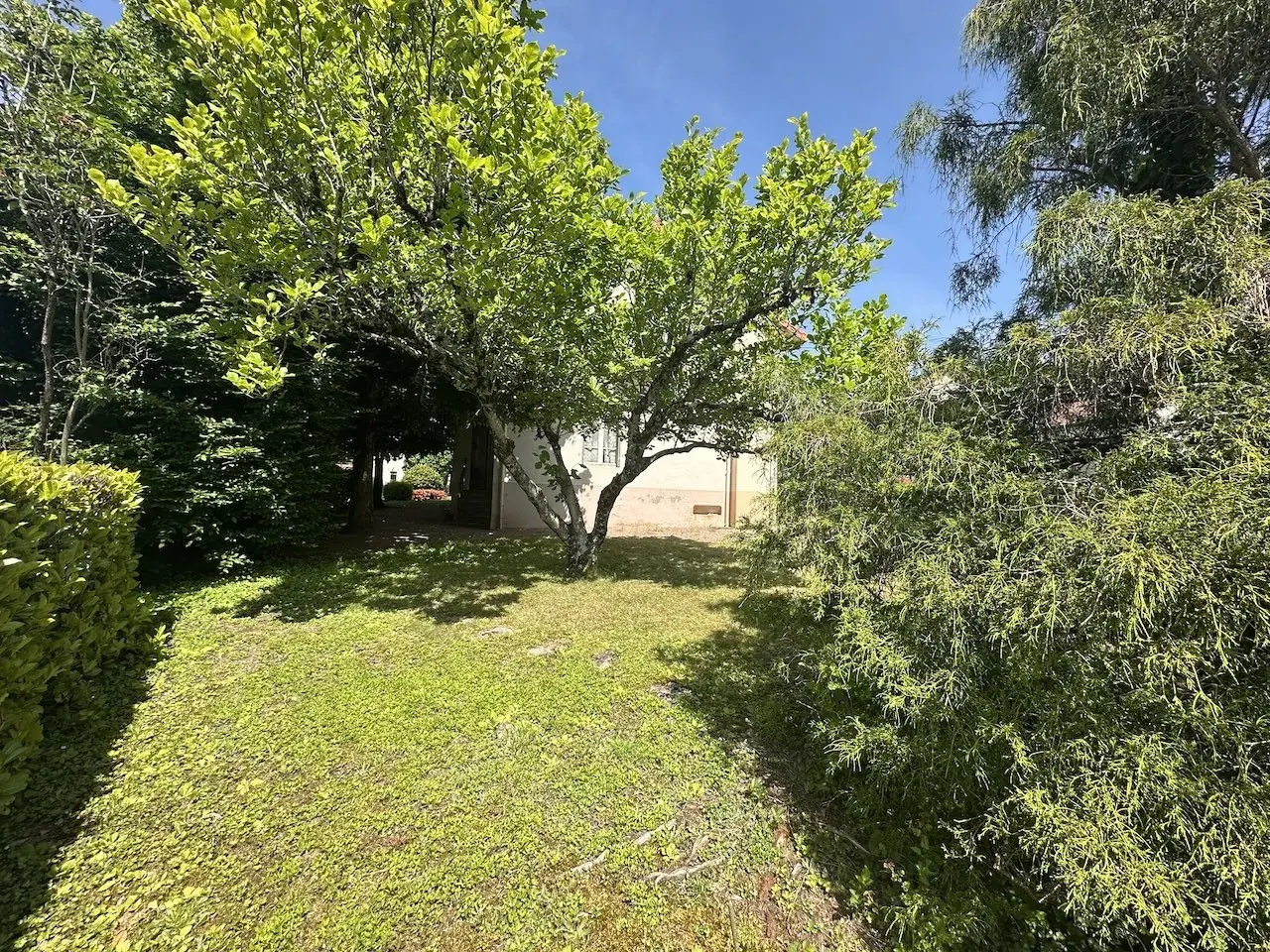 Grande maison à vendre à Chauffailles (71) avec dépendances et jardin clos 