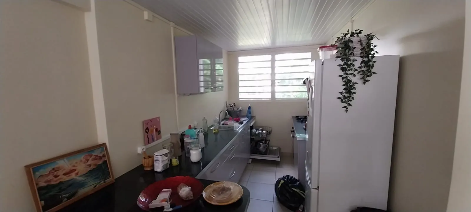 Appartement F3 avec parking à Fort-de-France – Opportunité d'investissement dans le quartier Didier 